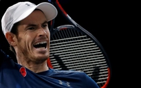 Djokovic: Andy Murray xứng đáng số 1 thế giới