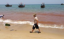 Xuất hiện vệt nước màu đỏ dài 1,5 km trên vùng biển Quảng Bình