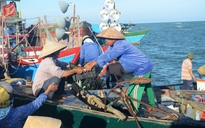 Tàu Trung Quốc bao vây phá ngư cụ tàu cá Việt Nam