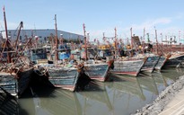 Hàn - Nhật không tha tàu cá Trung Quốc