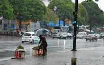 “Mưa vàng” gây đổ cây, tốc mái