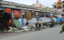 Đừng lơ là với Zika!