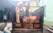 Bắt xe tải chở 2,5 m3 gỗ lậu lúc rạng sáng