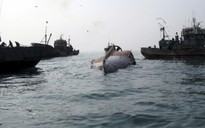 Tàu cá Trung Quốc lật ngoài khơi Hàn Quốc