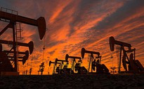 Nga và Ả Rập Saudi giữ nguyên sản lượng dầu