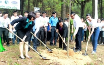 Trồng hàng ngàn cây xanh tại ngã ba Đồng Lộc