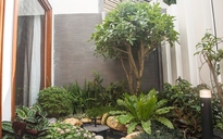 Ngôi nhà Sài Gòn có vườn cây xanh mát