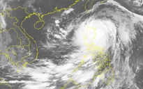 Vào Biển Đông, bão Nida mạnh lên giật gần cấp siêu bão