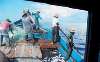 Phản đối Trung Quốc cấm đánh bắt cá phi lý trên Biển Đông
