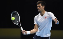 Djokovic quyết đòi lại uy danh