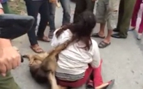 Ăn trộm chó, một phụ nữ bị đánh “hội đồng”