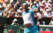 Đánh bại Nishikori, Nadal hẹn Djokovic ở bán kết Indian Wells