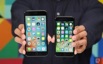 Người dùng Việt nên mua iPhone 7 khi nào?