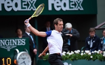 Gasquet, rào cản của Murray