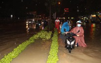Biên Hòa: Ngập đến đầu người, dân "bơi" cứu đồ đạc