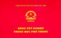 Trưởng Ban Tổ chức Thành ủy bị thu hồi bằng THPT