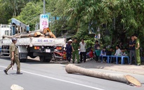 Trục cần cẩu gãy, thiếu niên 15 tuổi chết oan mạng