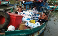 180 ghe cào cướp hàng tấn sò của ngư dân giữa ban ngày