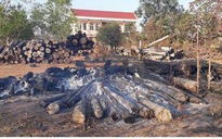 Điều tra vụ cháy hơn 100 lóng gỗ bị kiểm lâm tịch thu
