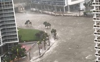 Mỹ: Bão Irma vào Florida, “tất cả ngập trong nước”