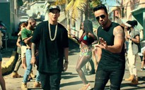 "Despacito" bị loại khỏi Đề cử VMA 2017