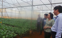 Xóa bỏ tình trạng đội lốt nông sản Lâm Đồng đưa vào TP HCM