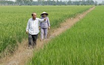 Nông dân chuyên nghiệp