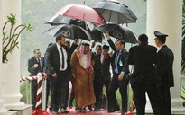 Tổng thống Indonesia và nỗi ấm ức "che dù cho vua Ả Rập Saudi"