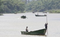 Giá cát tăng bất thường