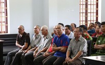 Dọn phát rừng, 7 cựu chiến binh vướng vòng lao lý