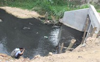 Sông, suối Đồng Nai kêu cứu!