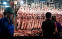 TP HCM: Thịt heo không rõ nguồn gốc đầy chợ đầu mối!