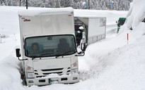 Nhật Bản khốn đốn vì bão tuyết