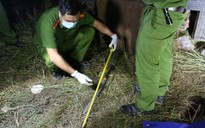 Đắk Lắk: Hỗn chiến do tranh chấp đất, 7 người thương vong