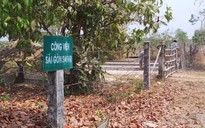 Giá đất Củ Chi bình tĩnh với siêu dự án của 'chúa đảo' Tuần Châu