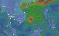 Chuyên gia khí tượng: “Bão số 14 bất ngờ, phức tạp”