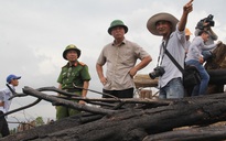 Vụ phá rừng ở Quảng Nam: Bắt một người, điều tra kẻ chủ mưu