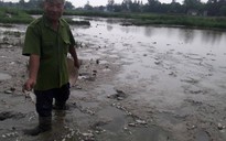 Đà Nẵng: Cá chết trắng đồng là do nhà máy mạ kẽm xả thải