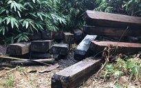 Vụ gỗ trái phép vứt đầy đường biên: Đốt gỗ tang vật để phi tang
