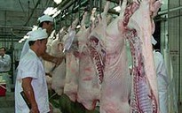 Tạo điều kiện tối đa cho xuất khẩu thịt heo