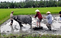 Trả lương cho các vị thật phí!