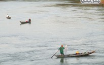 Cá mòi ắp ụ sông Yên, ngư dân thả sức vây bắt