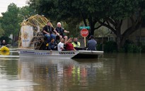 Bão Harvey làm hại môi trường Texas