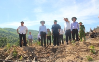 Bắt 2 đối tượng phá rừng tự nhiên ở Bình Định