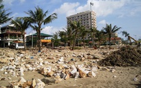 Thanh Hóa: Sau 3 ngày, thiệt hại do bão giảm gần 300 tỉ đồng
