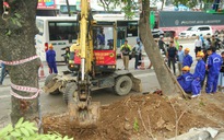 Bắt đầu chặt hạ gần 1.300 cây xanh trên đường Phạm Văn Đồng