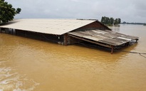 Hà Nội: Vỡ đê sông Bùi, nước ngập gần nóc nhà