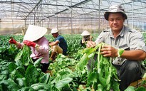 Nông nghiệp soán 'ngôi vương' kênh đầu tư 2017