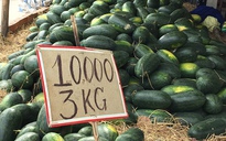 Khuyến nông tốt, sản lượng nhiều nhưng không biết bán ở đâu!