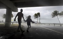 Mỹ: Thành phố "ma" chờ bão Irma